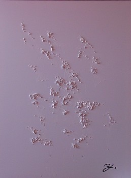 Diego Jacobson - White Stallions, 2001